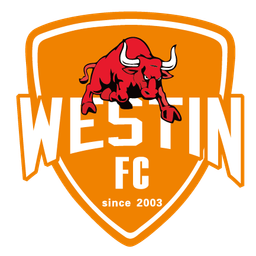 Foshan Sports Feminino