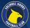 Solihull Moors Feminino