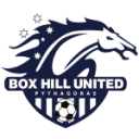 Box Hill Femininas
