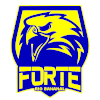 Forte FC Juvenil