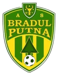 Bradul Putna
