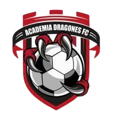 Academia Dragões FC