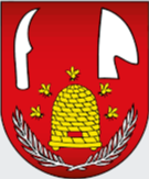 TJ Dvorníky - Včeláre