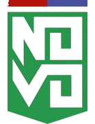 Novo Esporte Clube Ipatinga