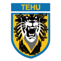 Nanjing Tehu Football Club