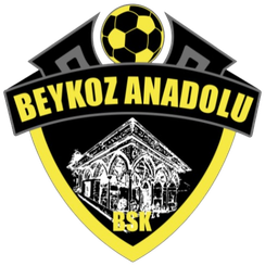 Beykoz Anadolu