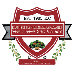 Nekemte Ketema