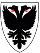 AFC Wimbledon Feminino