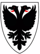 AFC Wimbledon Feminino