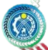 Burana Tokmok